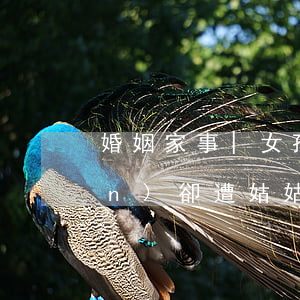 婚姻家事|女孩兒欲繼承繼父遺產(chǎn)，卻遭姑姑、伯伯們一致反對，原來......